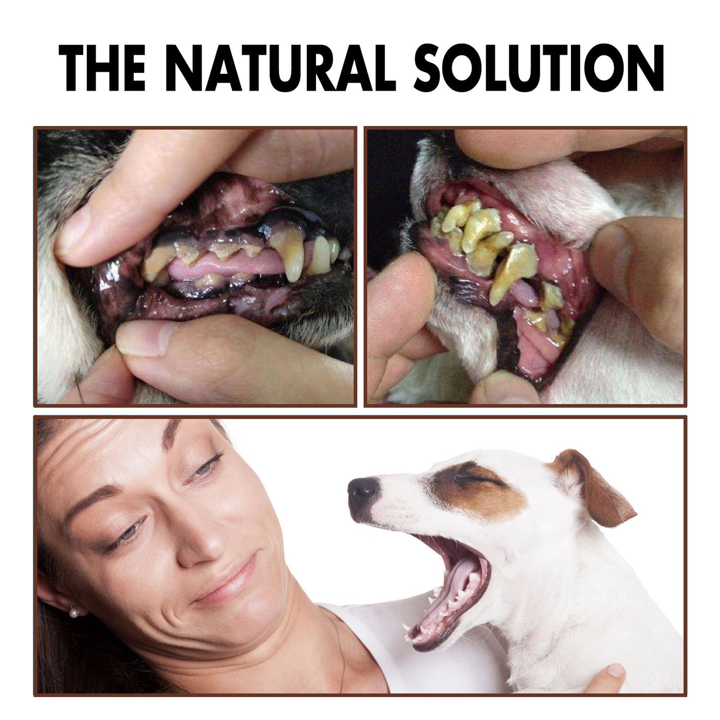 Pet Teeth Cleaning Spray Tooth Stains Remove Oral Cavity