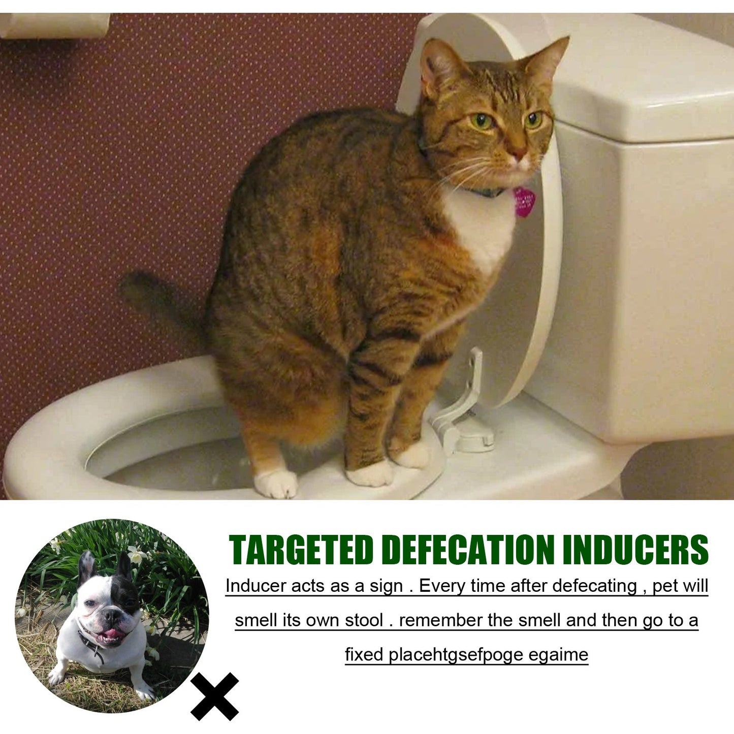 Pet Targeted Defecation Inducer Auxiliary Training Pet Urine Targeted Defecation Inducer